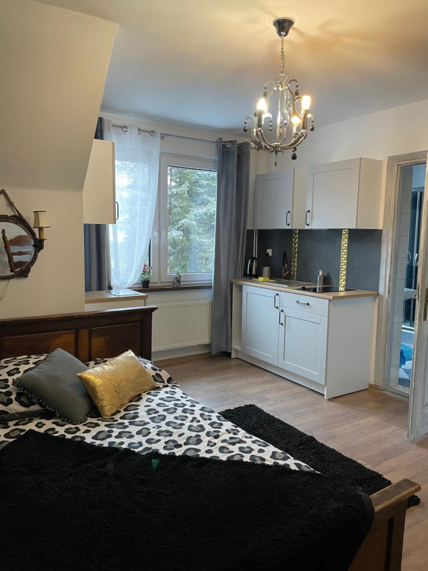 Apartamenty I Pokoje U Staszelow 포로닌 외부 사진