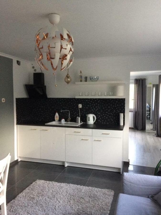 Apartamenty I Pokoje U Staszelow 포로닌 외부 사진