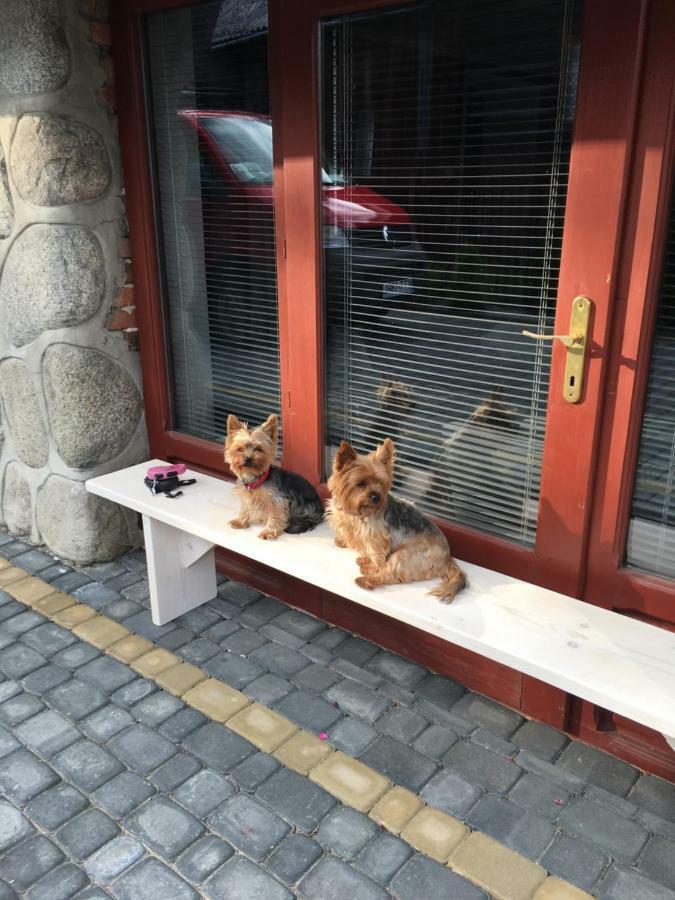 Apartamenty I Pokoje U Staszelow 포로닌 외부 사진